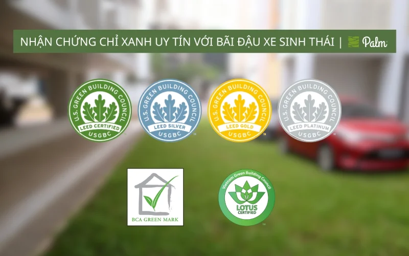 Vỉ Trồng Cỏ Chịu Lực | Tất Tần Tật Về Lợi Ích, Ứng Dụng Và Cách Lắp Đặt